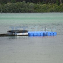 Schwimminsel-4