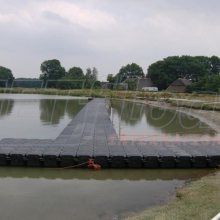 triathlonstege-ponton-12