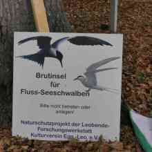 1_6_Vogelbrutinsel-3