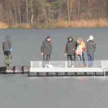 1_5_Vogelbrutinsel-1