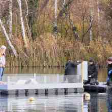 1_5_Vogelbrutinsel-4