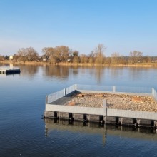 1_9_Vogelbrutinsel-1